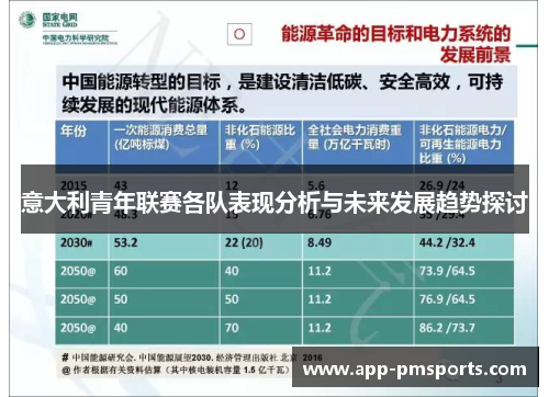 意大利青年联赛各队表现分析与未来发展趋势探讨