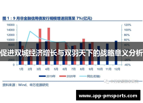 促进双城经济增长与双羽天下的战略意义分析