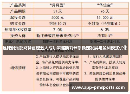 足球俱乐部财务管理五大成功策略助力长期稳定发展与盈利模式优化