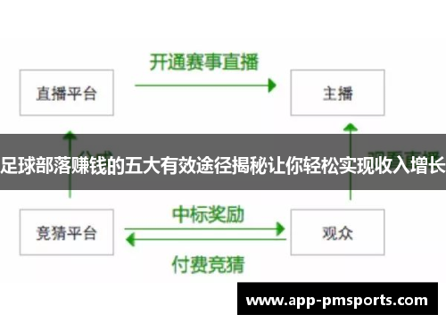 足球部落赚钱的五大有效途径揭秘让你轻松实现收入增长