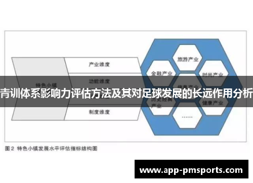 青训体系影响力评估方法及其对足球发展的长远作用分析